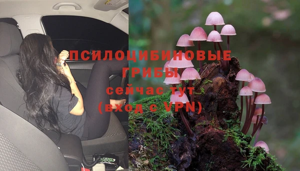 mix Арсеньев